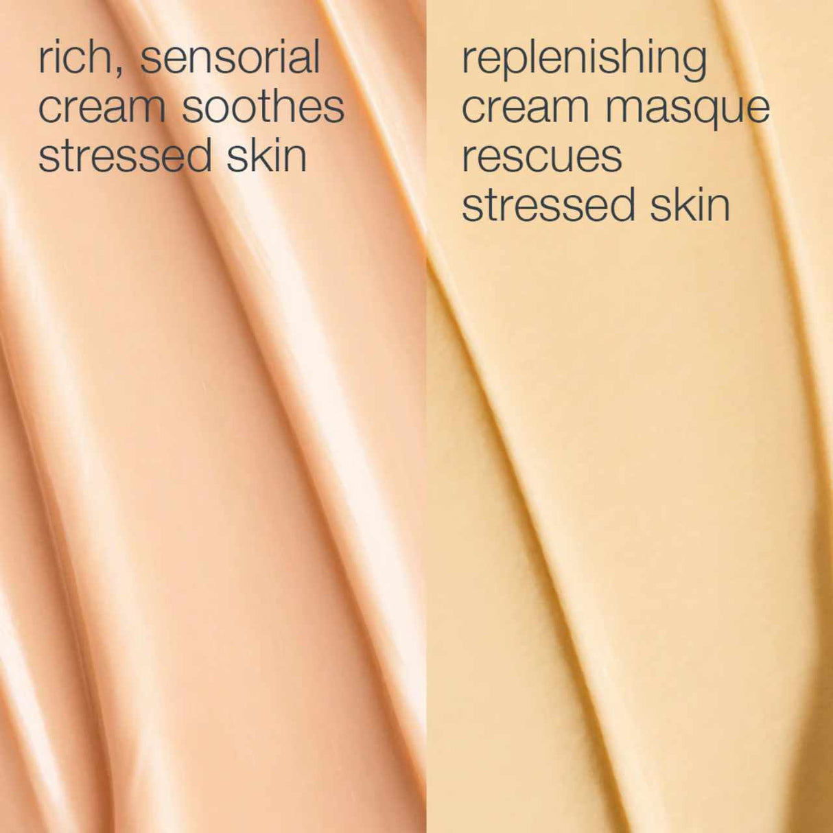 Dermalogica Stressed Skin Recovery System