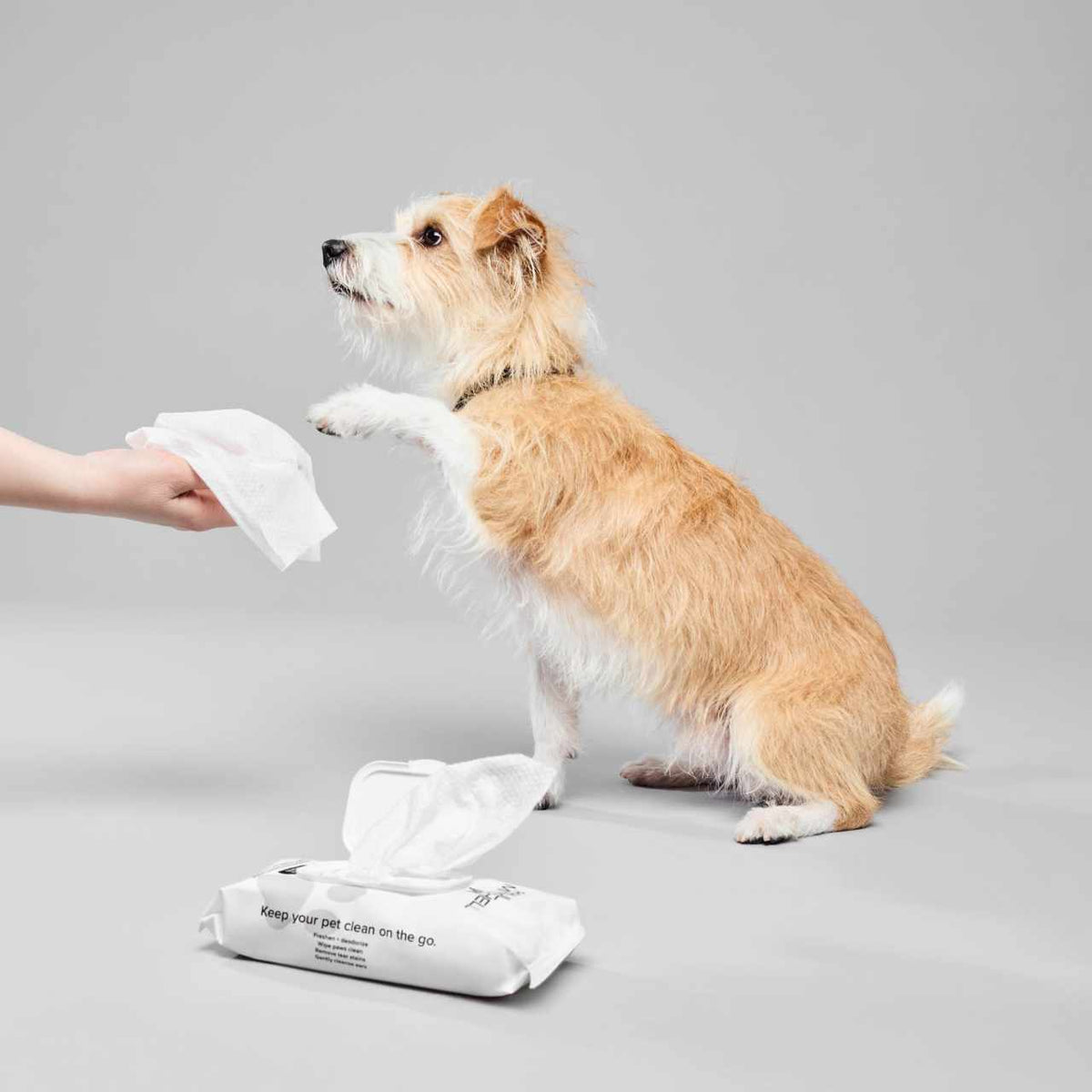 John Paul Pet Fragrance Free Wipes 60's