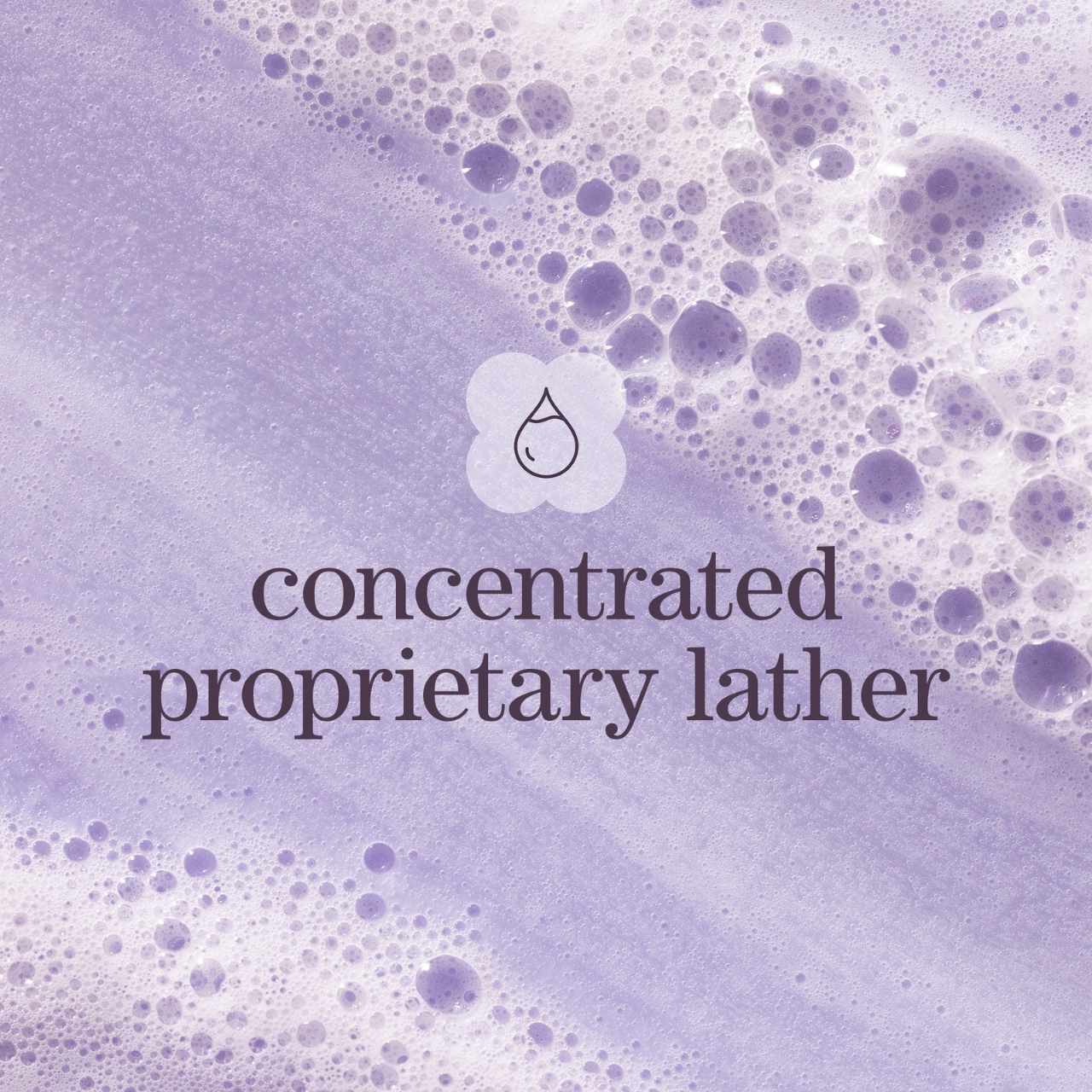 Pureology Hydrate Bundle