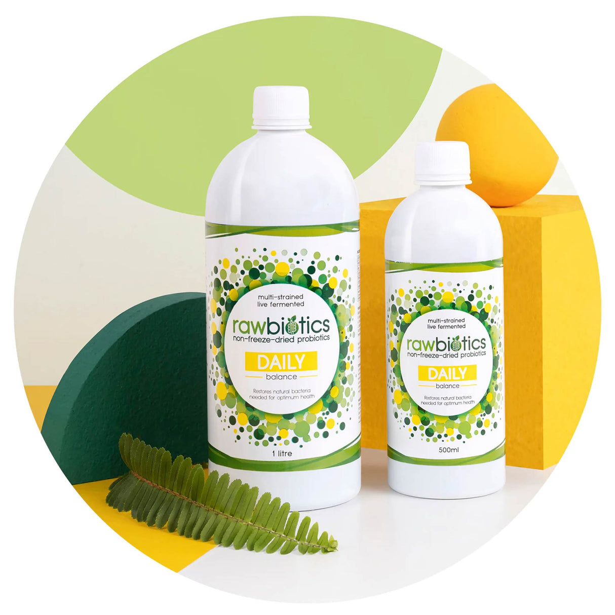 Rawbiotics Daily Probiotic 500ml