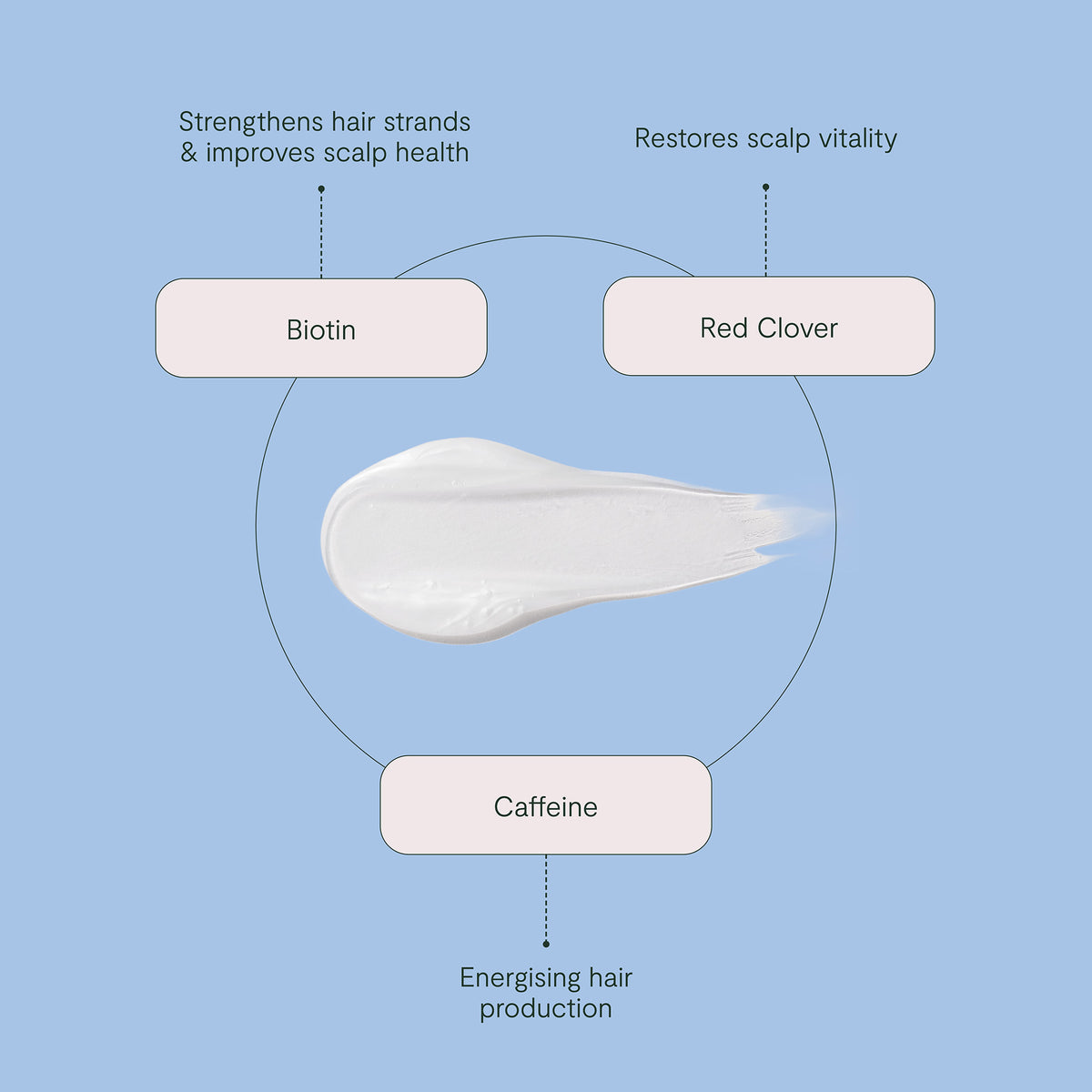 ROH Purify & Plump Wash 350ml