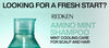 Redken Amino Mint Shampoo 300ml: Refresh Scalp, Energise Hair
