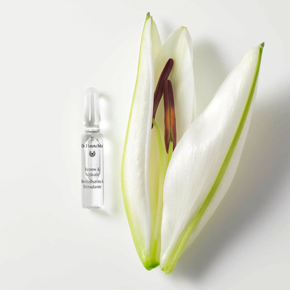 Dr Hauschka Renew & Activate Ampoules 50x2ml