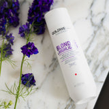 Goldwell Dualsenses Blondes & Highlights Anti-Yellow Shampoo