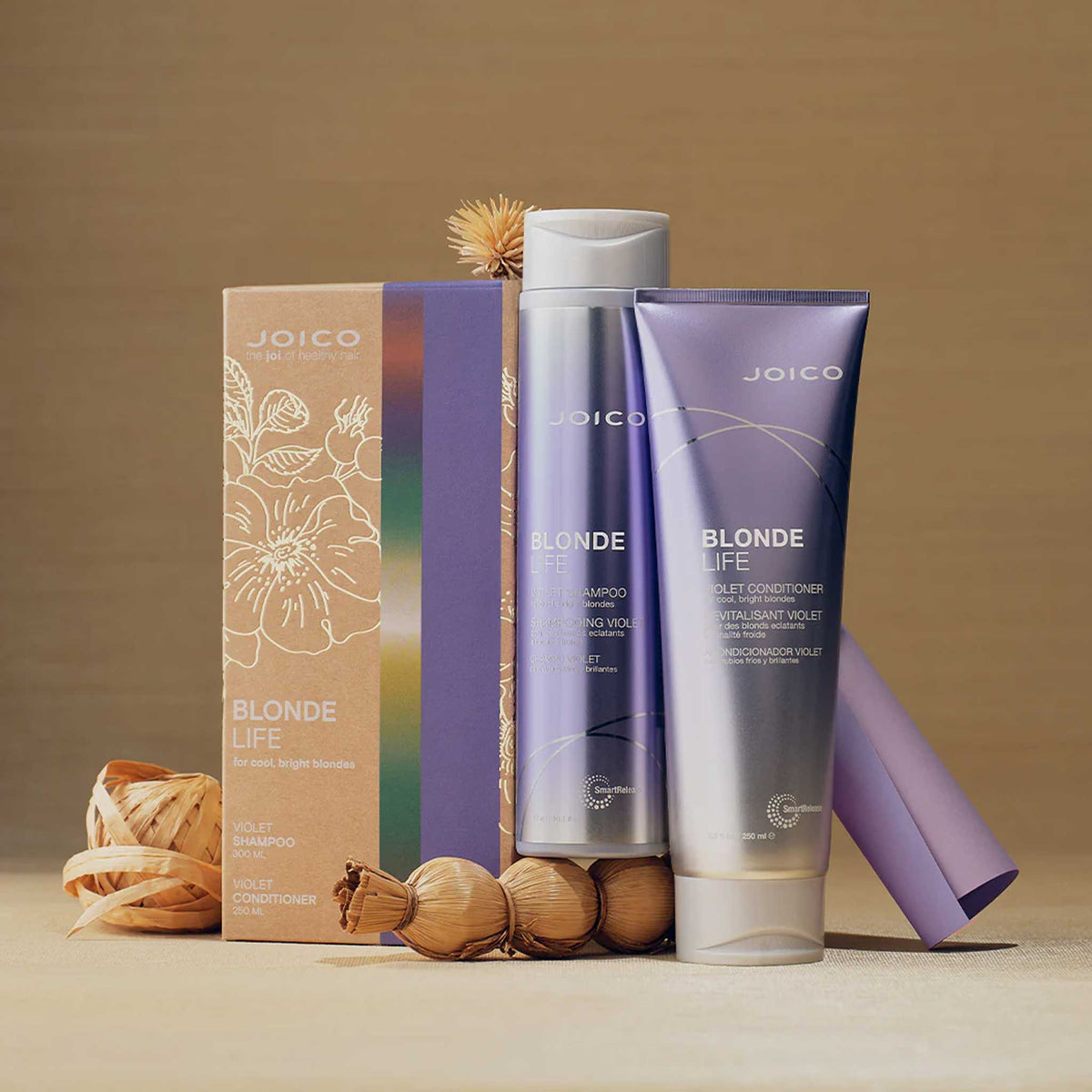 Joico Blonde Violet Holiday Gift Set