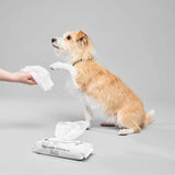 Paul Mitchell Pet Fragrance Free Wipes 60's