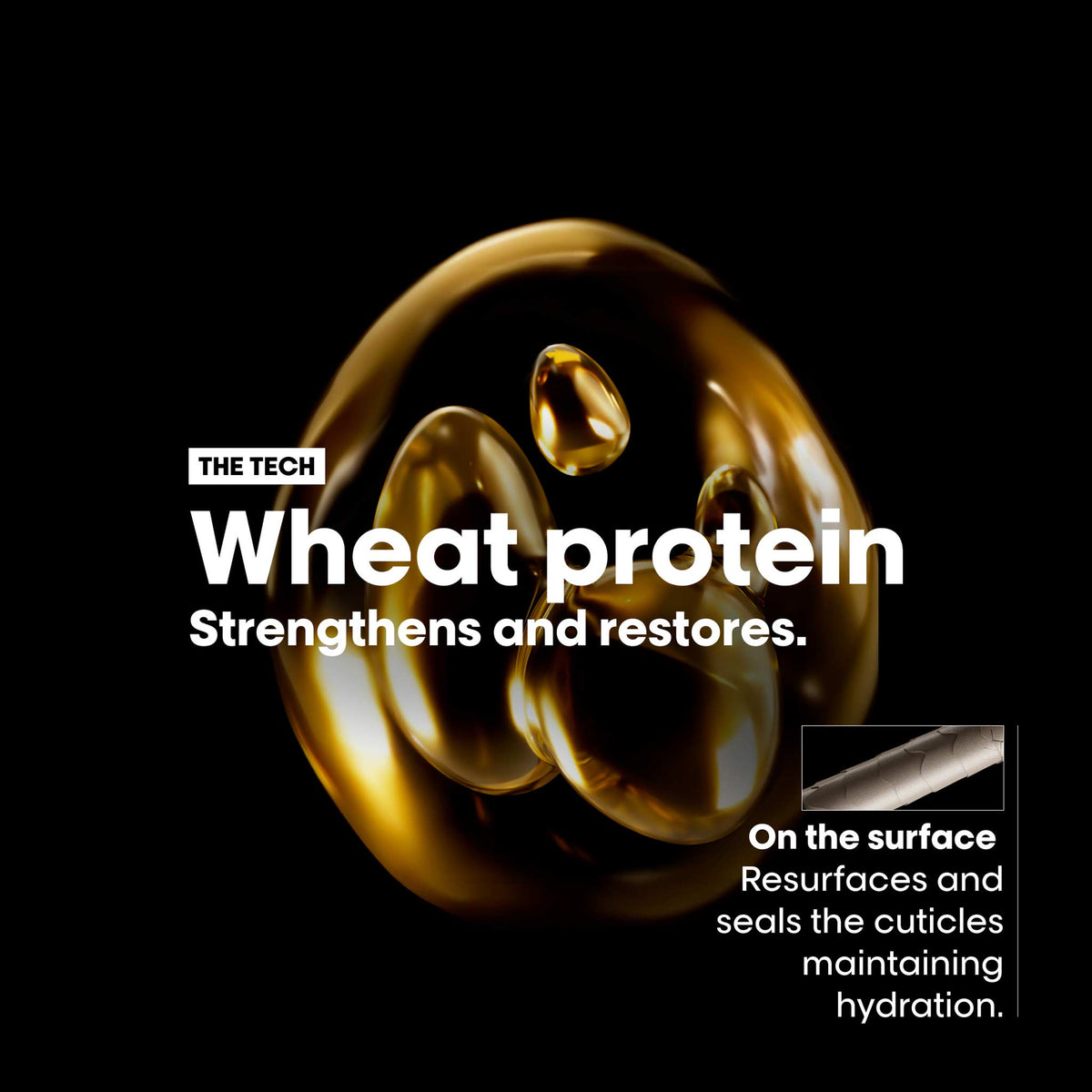 L'Oreal Professionnel Absolut Repair Holiday Gift Set