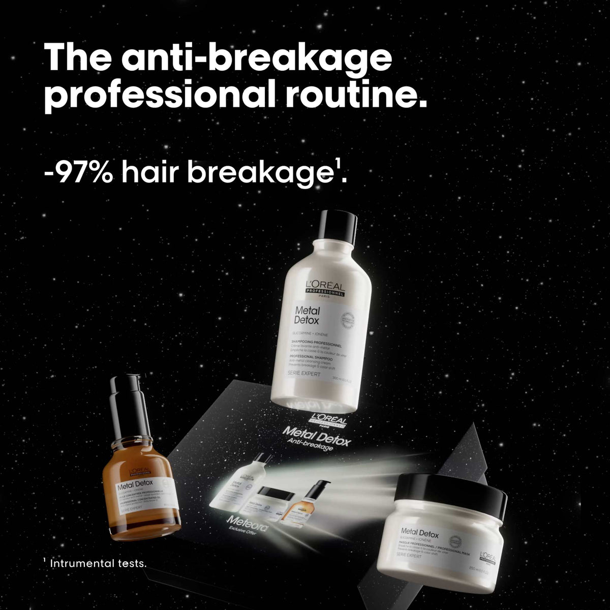 L'Oreal Professionnel Metal Detox Holiday Gift Set