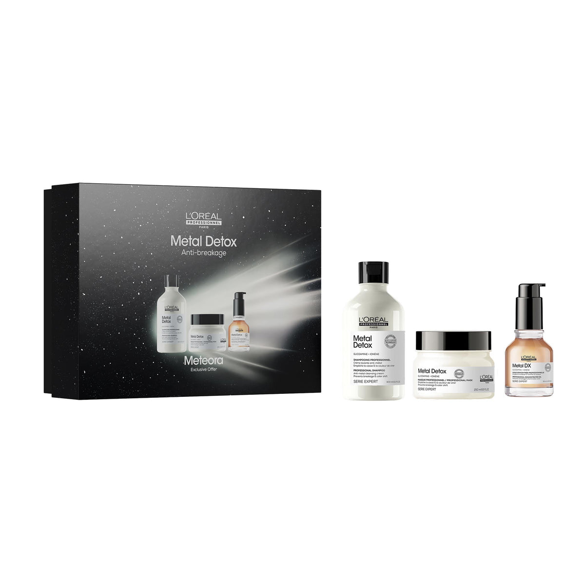 L'Oreal Professionnel Metal Detox Holiday Gift Set