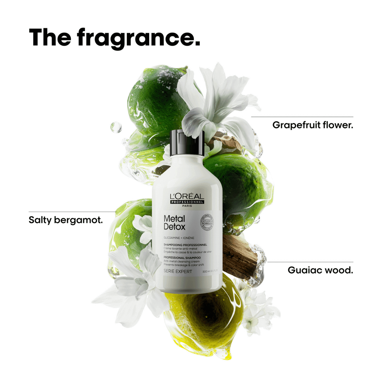 L'Oreal Professionnel Metal Detox Shampoo 300ml