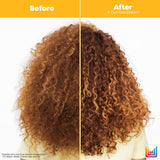 Matrix A Curl Can Dream Bundle