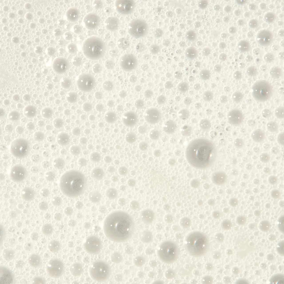 Paul Mitchell Tea Tree Scalp Care Regeniplex Shampoo 300ml