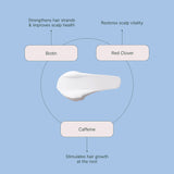 ROH Purify & Plump Conditioner 350ml