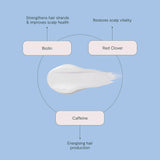 ROH Purify & Plump Wash 350ml
