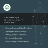 Remedy Greens Collagen Mobility 450g