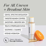 Skoon FRUITFUL RADIANCE Renewal Night Liquid Exfoliant 100ml