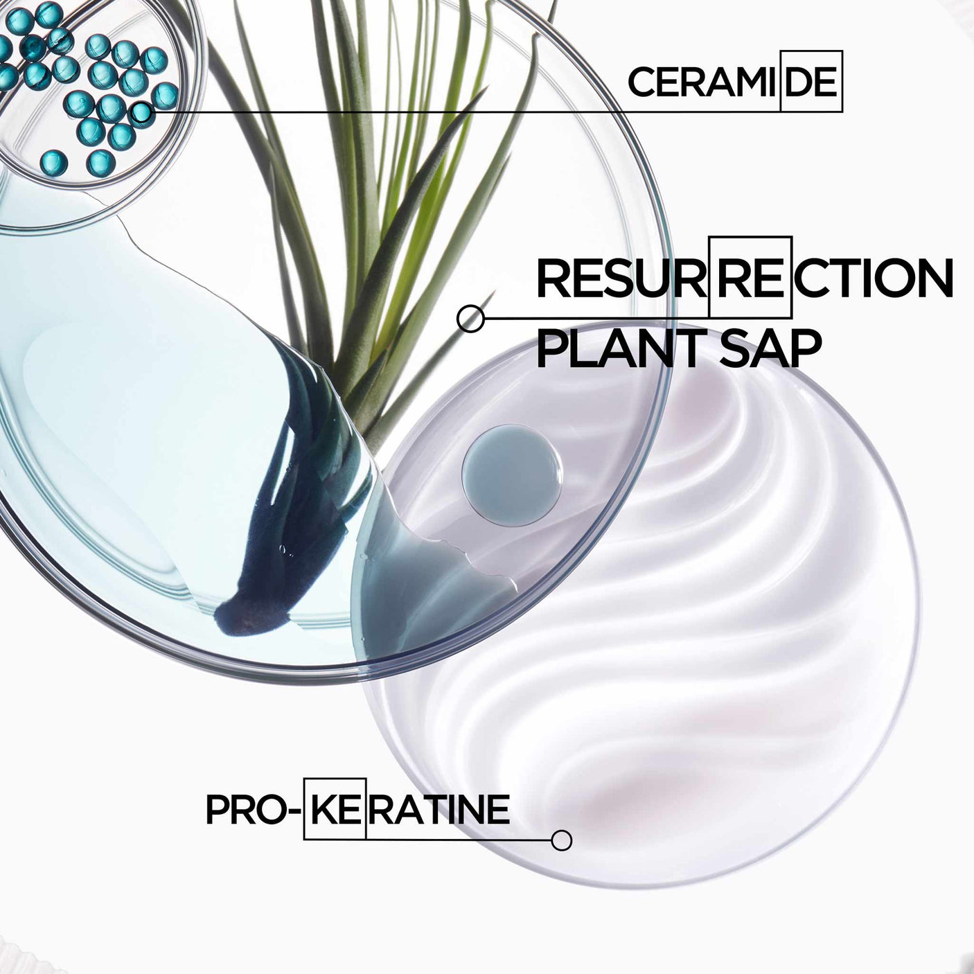 Kérastase Resistance Bain Force Architecte 250ml